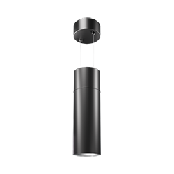 Duo 6